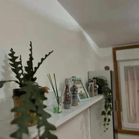 شقة Apartamento